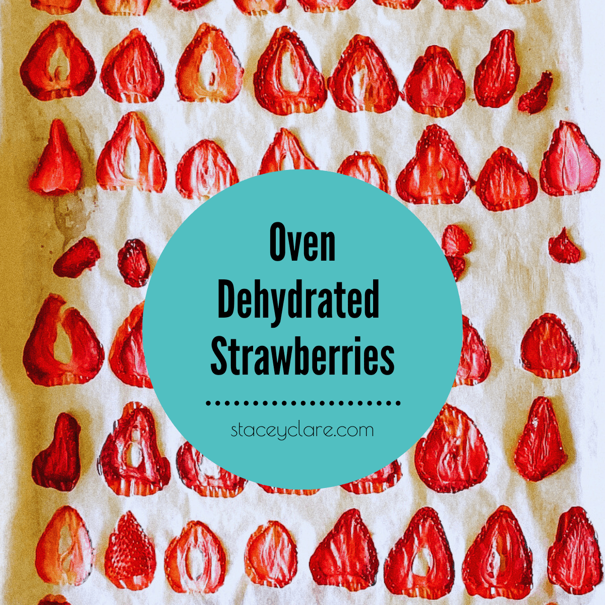 oven-dried-strawberries-6