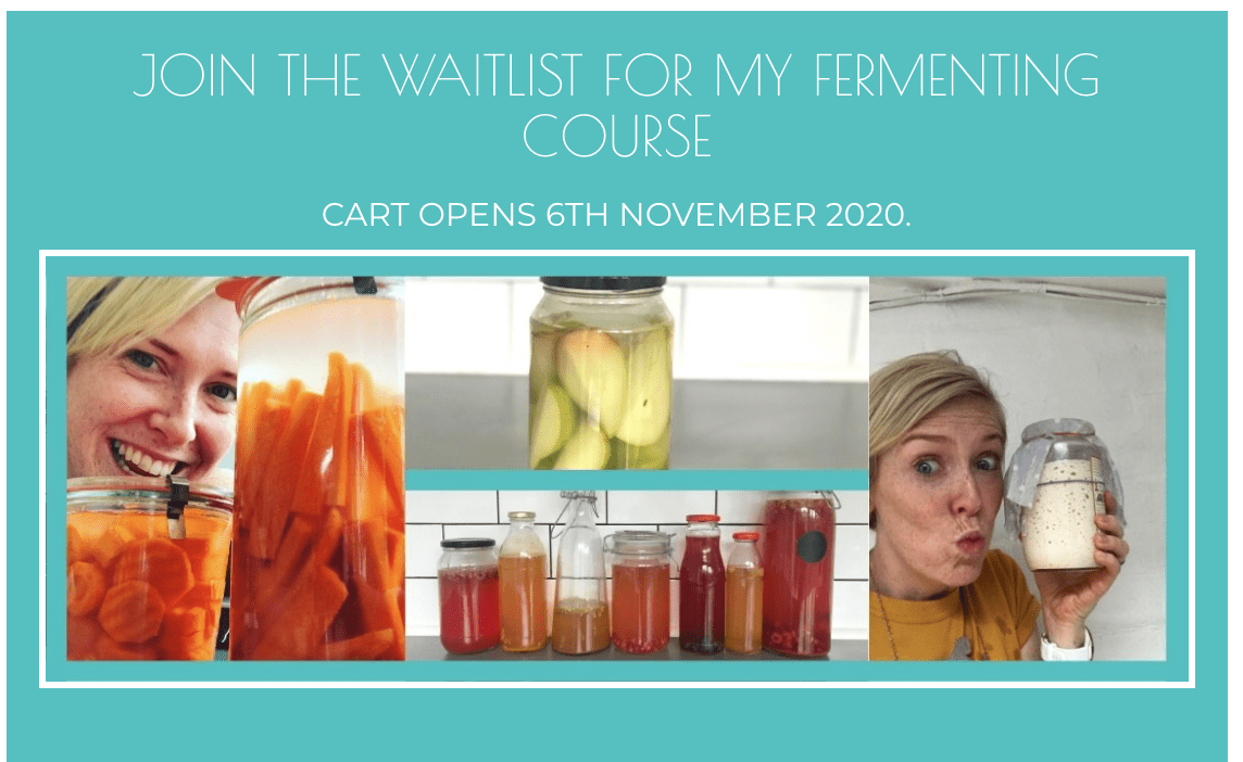Join My FREE Online Fermenting Workshop